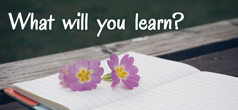 What will you learn in The EGO Tamer® Academy? What will you learn in The EGO Tamer® Academy?